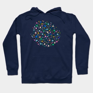 Winter Stars Multi navy Hoodie